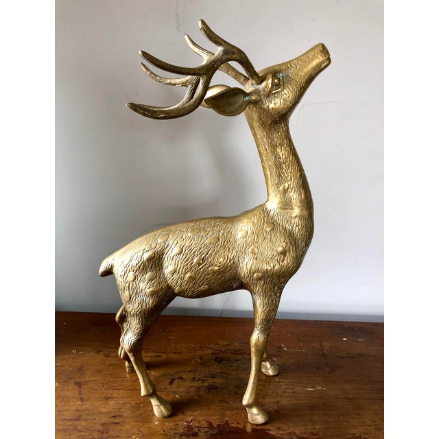 Large Brass Deer a Pair Chairish