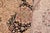 Textile Elegant Pak-Persian Beige/Black Wool Rug - 9'1'' X 12'6'' For Sale - Image 7 of 9
