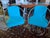 Italian Steel and in Turquoise Cotton Upholstery Armchairs, 1960s, Set of 2 For Sale - Image 16 of 18