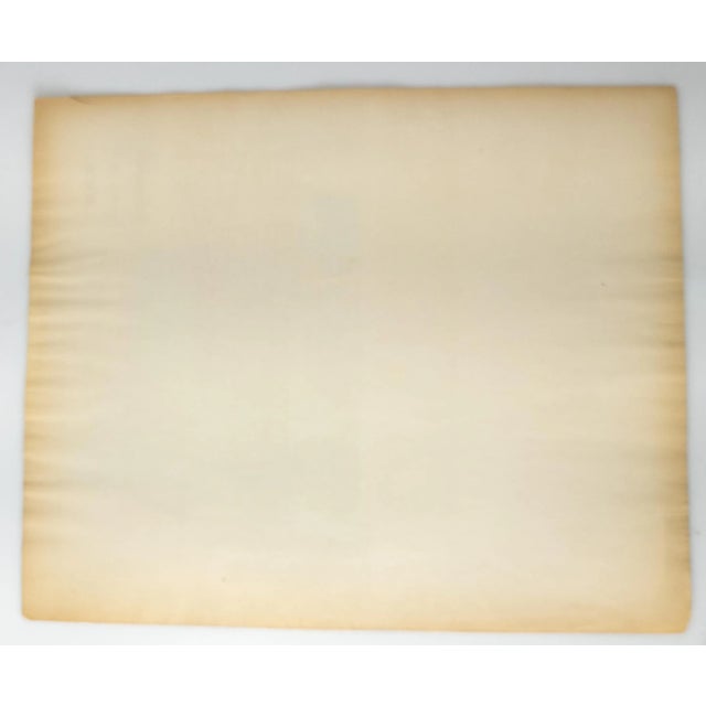 Mid 19th Century 19th Century Colored Lithograph Map of the City of Albany New York For Sale - Image 5 of 6