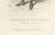 Iberian Costume Engravings, 1850, Engraving For Sale - Image 11 of 15