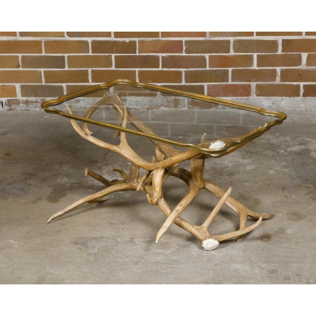 Glass Mid 20th Century Antler and Glass Midcentury American Coffee Table with Gilded Surround For Sale - Image 7 of 12