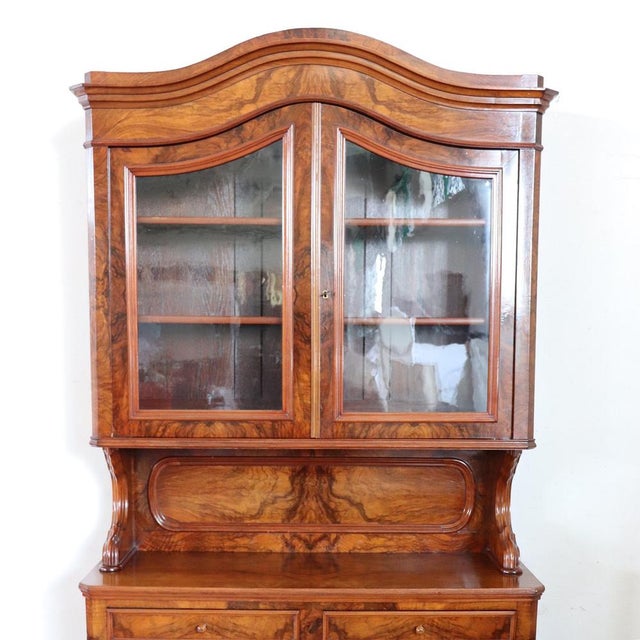 Antique Cupboard in Walnut Briar, 1800s For Sale - Image 6 of 18