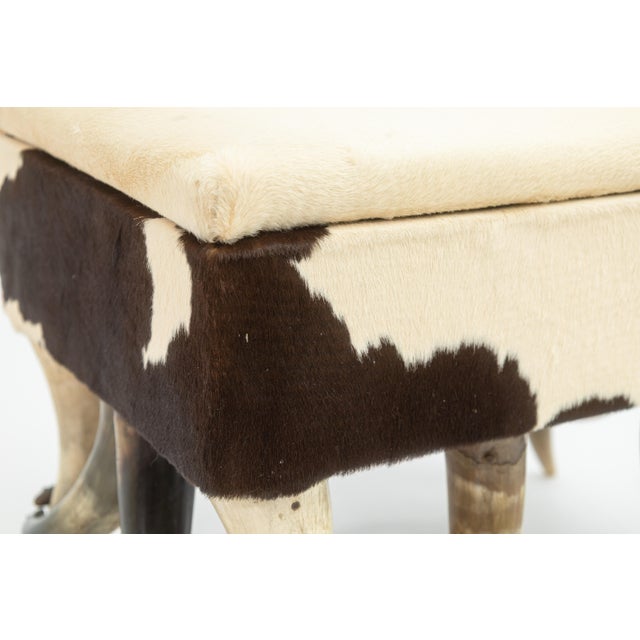 A contemporary cowhide and longhorn ottoman footstool. This rustic, modern footstool features a lovely cowhide upper...