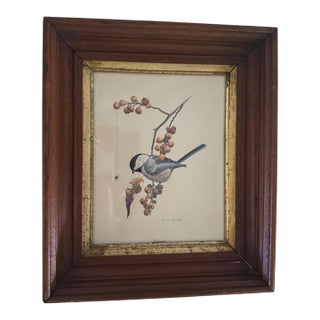 1960s Vintage Framed Ray Harm Print Bird Chickadee Autumn Bittersweet Spider on Web For Sale