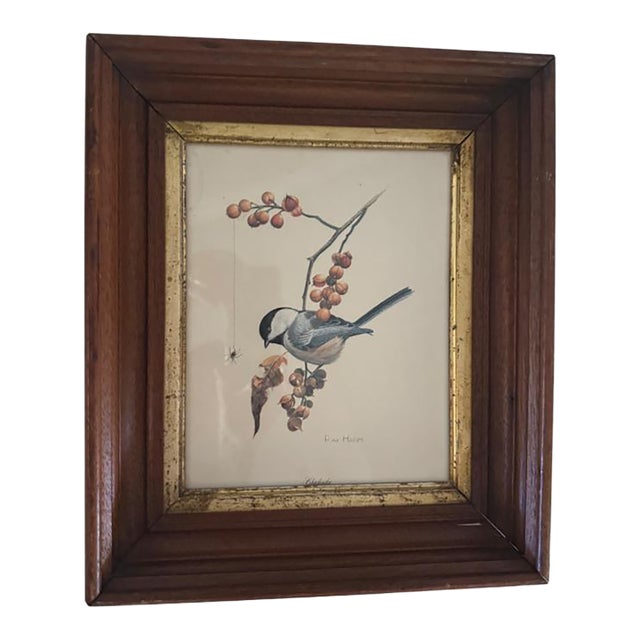1960s Vintage Framed Ray Harm Print Bird Chickadee Autumn Bittersweet Spider on Web For Sale