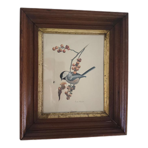 1960s Vintage Framed Ray Harm Print Bird Chickadee Autumn Bittersweet Spider on Web