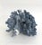 Natural Blue Coral specimen with a variety of white coral which had attached itself and a cut and polished base to protect...