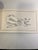 Paper Vittorio's Dog Book For Sale - Image 7 of 14