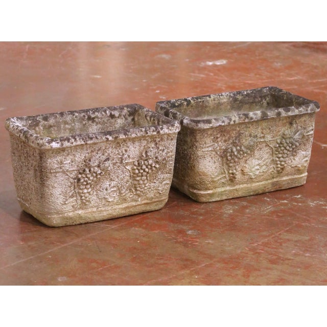 French Pair of 19th Century French Cast Stone Garden Planters With Grapevine Motif For Sale - Image 3 of 9