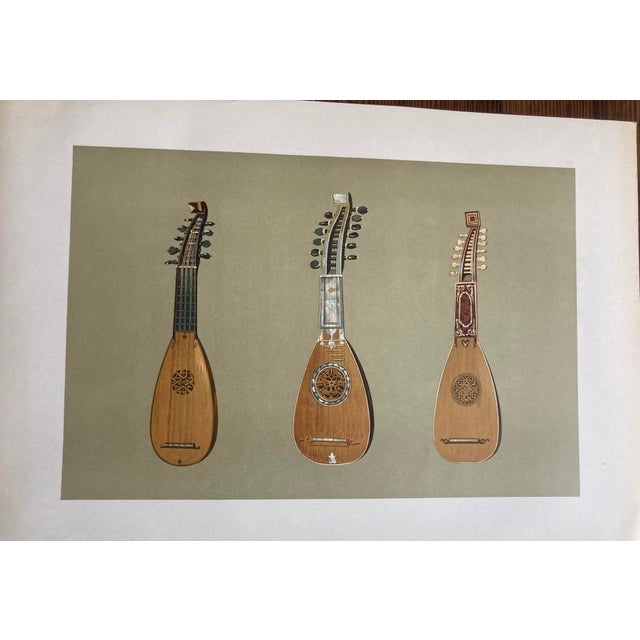 Original 19th Century Engravings of Various Musical Instruments in Color - Set of 5 For Sale In West Palm - Image 6 of 12