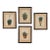 Set of Four Botanicals, 19th Century or Earlier For Sale