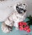 Shabby Chic Pekingese Garden Statue Chalkware Dog Pup Life Size For Sale - Image 3 of 11