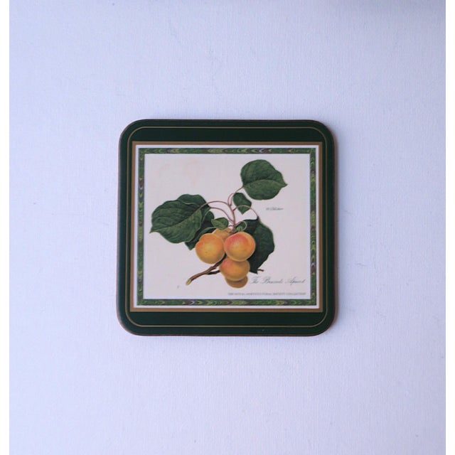 Botanical Fruit Coasters, Set of 6 For Sale - Image 9 of 12