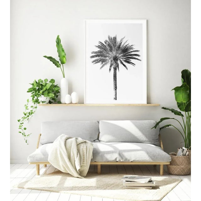 Contemporary 'Palm Tree' Art Print, Large Contemporary Minimalist Black and White Fine Art Photograph, Tropical Coastal Wall Art, 24 X 36" Photography Print For Sale - Image 3 of 8