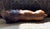 Mid 20th Century Vintage Large Handcrafted Leather Lion Sculpture, 23” For Sale - Image 5 of 9