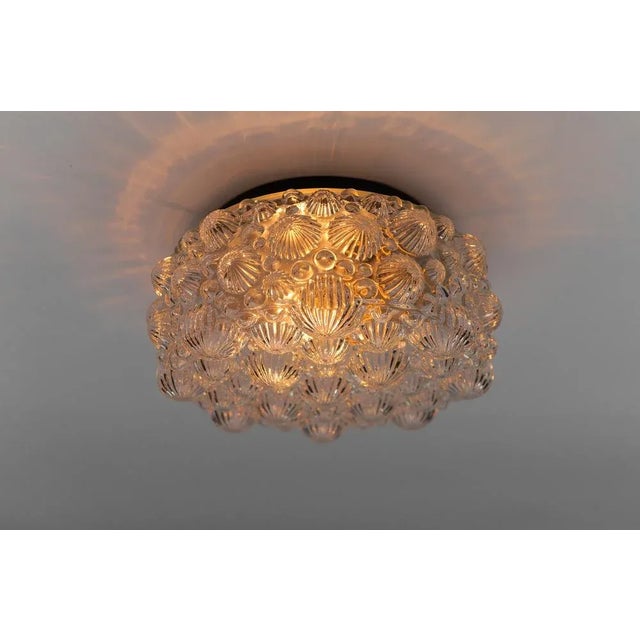 Mid-Century Modern Round 3D Fossil Shell Shape Flush Mount, 1960s For Sale - Image 4 of 9