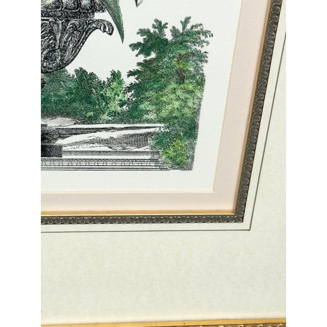 Vintage Framed Pink Cyclamen Flower Print For Sale - Image 4 of 8