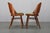 Mid-Century Model Ton 514 Dining Chairs attributed to Osvald Haerdtl for Ton, 1960s, Set of 4 For Sale - Image 9 of 16