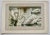 1907 French Photogravure Print of Swans - For Sale - Image 4 of 4