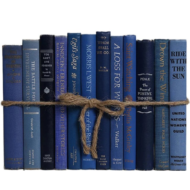 Transitional Decorative Books - Vintage Denim Book Bundle - 1 Foot of Blue Books For Sale - Image 3 of 3