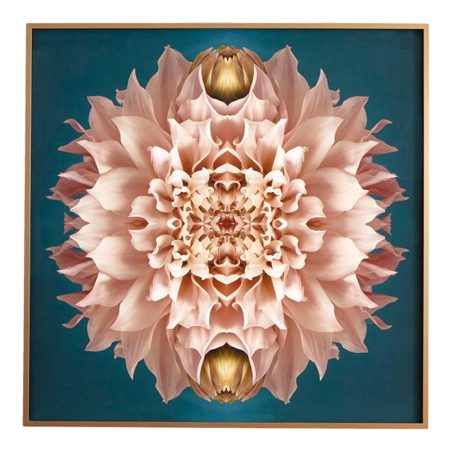 "No. 131" Contemporary Botanical Limited Edition Photograph by Erin Derby, Framed For Sale