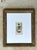 Vintage Undersea Specimen Print in Carved Wood Frame For Sale - Image 12 of 12