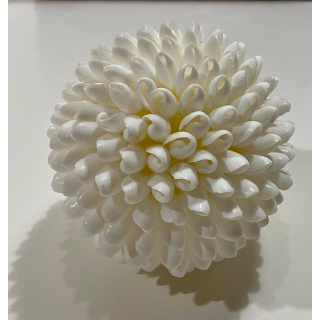 Vintage White Sea Shell Decorative Ball For Sale In Atlanta - Image 6 of 9