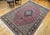 Antique Persian Tabriz Mahi Rug, Hand-Knotted Wool & Silk, Herati Geometric Pattern, Pomegranate Red & Tan, 7x10 For Sale - Image 9 of 18