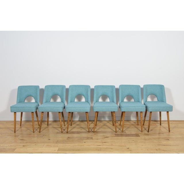 Mid-Century Modern Shell Chairs from Bydgoszcz Furniture Factory, Poland, 1960s, Set of 6 For Sale - Image 3 of 17