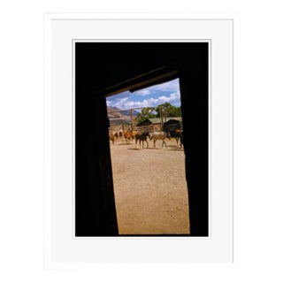 Toni Frissell, The Round Up, 1955, C Print, Framed For Sale