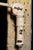 Antique Harry J. Bosworth Dental Lamp With Holophane Shades For Sale - Image 10 of 11
