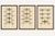 Title: set of three dragonfly lithographs from die geradflügler mitteleuropas 1908 : a striking set of three original...