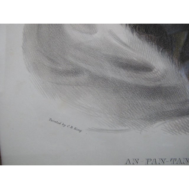 Original hand-colored lithograph titled in print "An Pan-Tan-Go or the Big Elk A Maha Chief." Showing ONG PA TON GA. CHIEF...