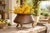 Hammered copper swells into a wide, flared bowl with a rolled rim, resting on three brass legs that end in carved paw...