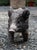 Mid-20th Century English Cast Stone Razorback Boar Garden Figure For Sale - Image 4 of 7