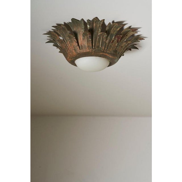 Metal Sunflower Wall Light with Textured Glass Diffuser For Sale - Image 7 of 11