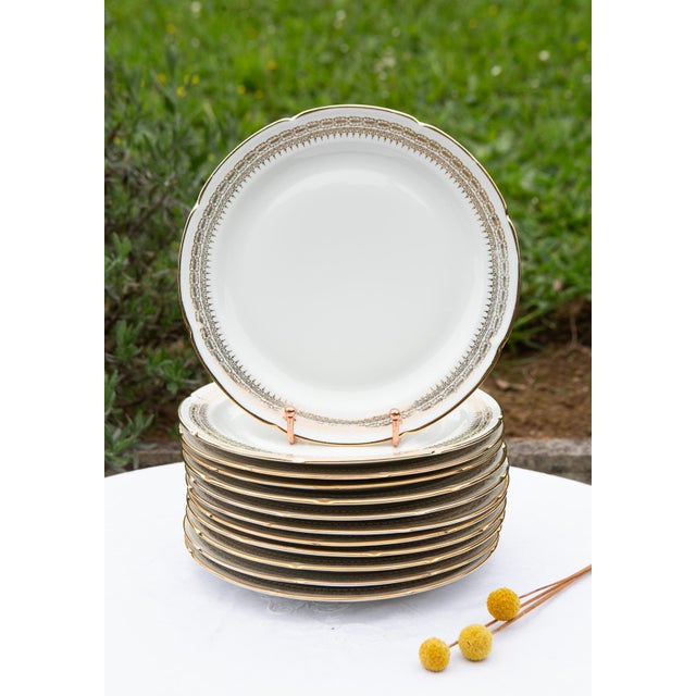 White Porcelain Flat Plates with Gilt Details from Limoges, 1960s, Set of 12 For Sale - Image 8 of 8