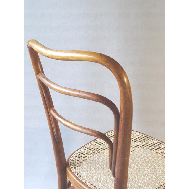 Tan Curved Wooden No. 248 A Chair from J & J Kohn, 1910 For Sale - Image 8 of 11