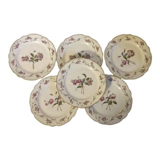 Antique 19th Century French Paris Porcelain Botanical Plates - Set of 6 For Sale