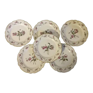 Antique 19th Century French Paris Porcelain Botanical Plates - Set of 6