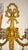 Gold Vintage Brass and Lead Crystal Wall Lamp from Palwa, 1950s For Sale - Image 8 of 10