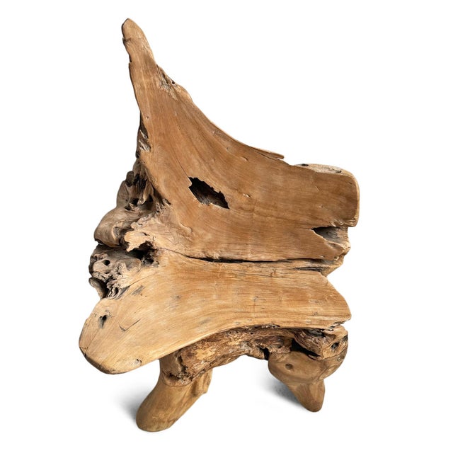 Contemporary Vintage Organic Modern Teak Root Chair For Sale - Image 3 of 6