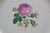 1930s Pickard Ravenswood Maria 237 Rose Swag Dinnerware China Set - 58 pcs For Sale - Image 6 of 17