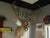 Cabin Vintage Caribou Taxidermy Mount – Impressive Oversized Antler Rack For Sale - Image 3 of 9