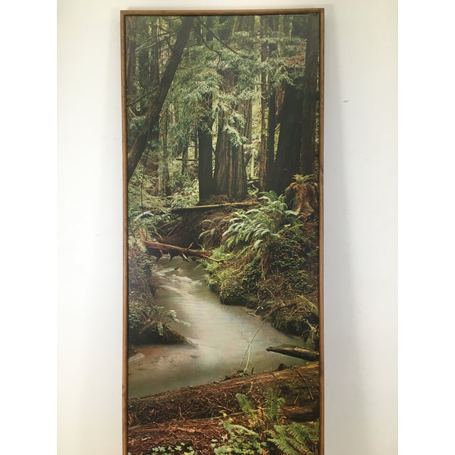 Green 70s Boho Forest Photograph Wall Hanging For Sale - Image 8 of 8
