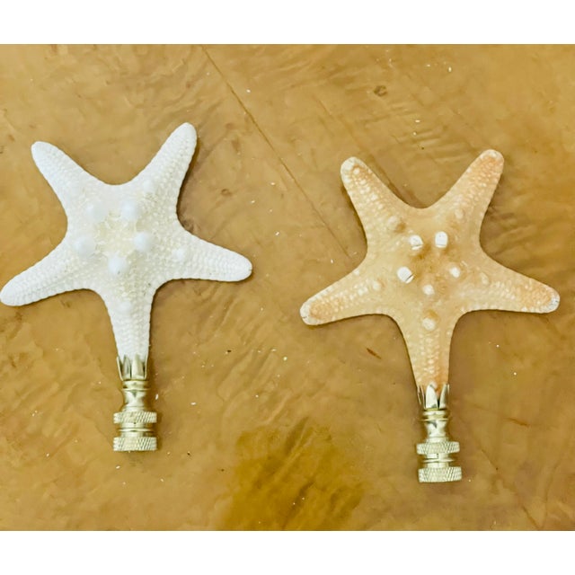 1970s 1970s Organic Modern Sea Shell Stars Pair Lamp Finials For Sale - Image 5 of 5