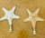 1970s 1970s Organic Modern Sea Shell Stars Pair Lamp Finials For Sale - Image 5 of 5