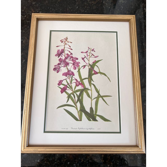 Vintage Botanicals Set of 6- Authentic Vintage 1968 Flower Prints For Sale - Image 4 of 5