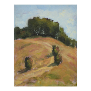 Picchetti Ranch Hilltop Oak Tree Trail, Bay Area California Landscape